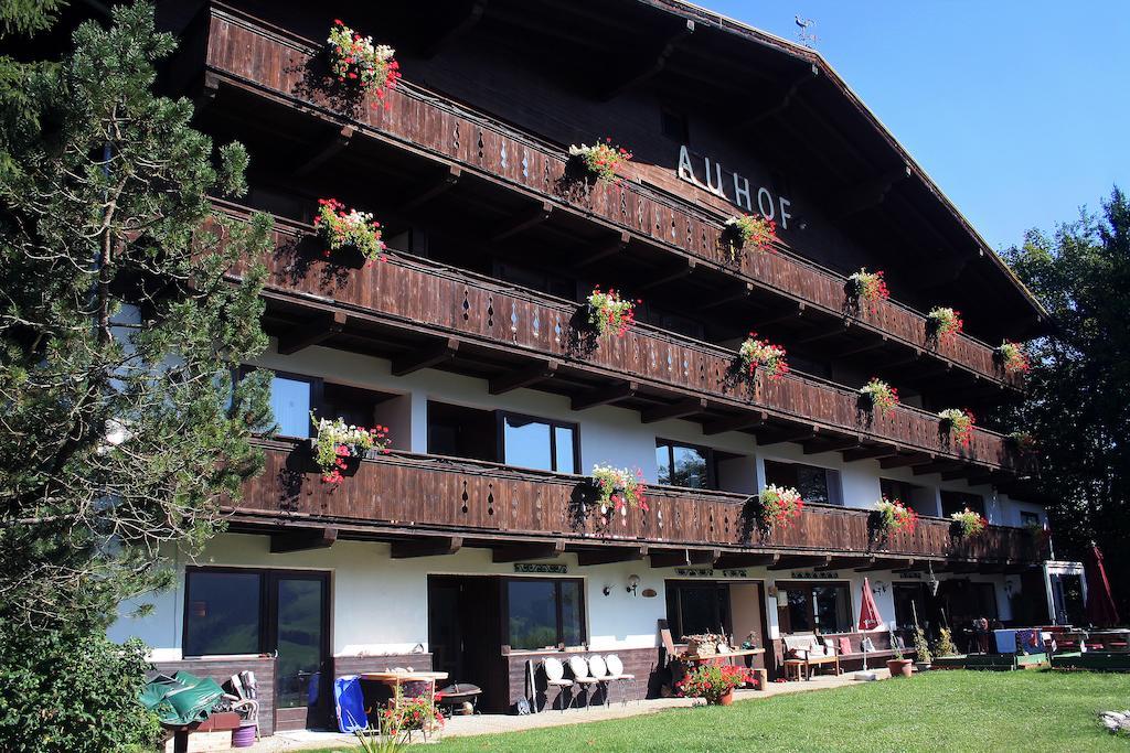 Auhof Apartment Niederau Bagian luar foto
